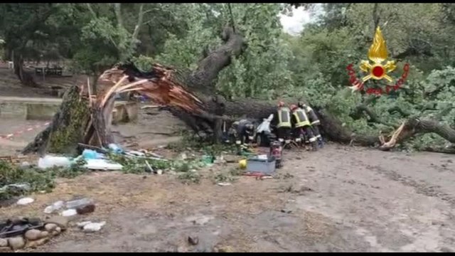 Maltempo, a Matera quercia crolla su auto: muore un ragazzo