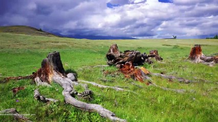 Από το Big Bang στο Σήμερα - Η Βιομηχανική Επανάσταση και ο Σύγχρονος Πόλεμος (The Industrial Revolution and Modern Warfare)