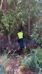 Operativo de búsqueda del hombre desaparecido en Camporredondo el pasado 9 de agosto