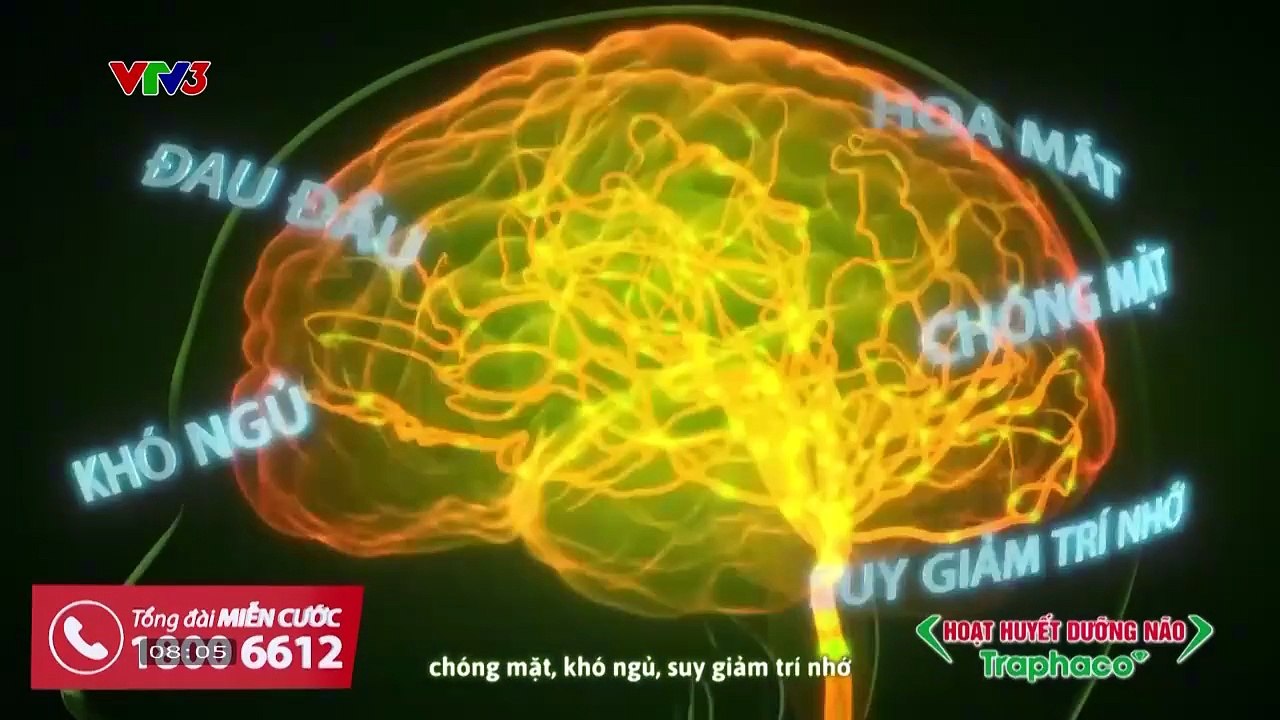 VTV3 - Vui - khỏe - có ích (16/08/2025)