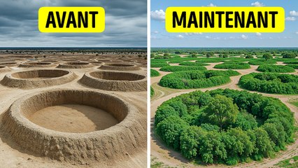 Le désert disparaît-il ?! Que se passe-t-il vraiment avec le Sahara