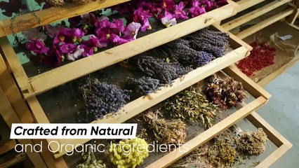 Types of Incense Sticks – Raajsee