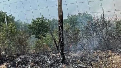 Cesarò, dopo l'incendio si fa la conta dei danni