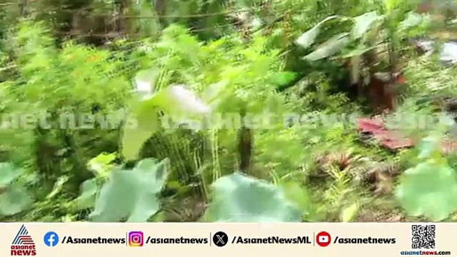 പത്തനംതിട്ടയിൽ കനത്ത മഴ; ഓമലൂരിൽ മിന്നൽ ചുഴലി; വിവിധയിടങ്ങളിൽ നാശനഷ്‌ടം
