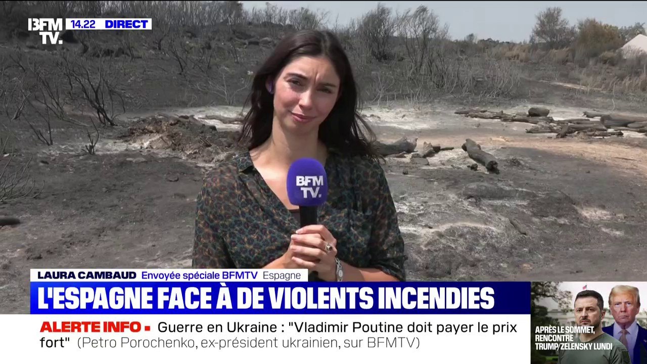 En Espagne, les images des dégâts après le passage d'un incendie qui a tout ravagé sur son passage