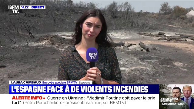 En Espagne, les images des dégâts après le passage d'un incendie qui a tout ravagé sur son passage