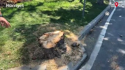 İstanbul'da etkisini sürdüren fırtına hayatı olumsuz etkiledi