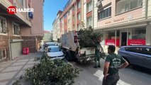 İstanbul'u fırtına vurdu! Ağaçlar devrildi yaralananlar oldu