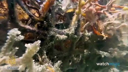 10 Scariest Moments in Recent World History That NOBODY Is Talking About