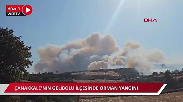 Çanakkale’nin Gelibolu ilçesinde orman yangını