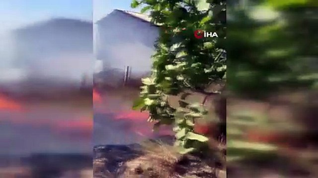 Kocaeli'nde bir yangın daha: Köyde çıkan yangın paniğe yol açtı