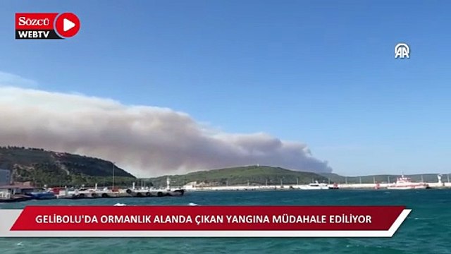 Gelibolu'da ormanlık alanda çıkan yangına müdahale ediliyor