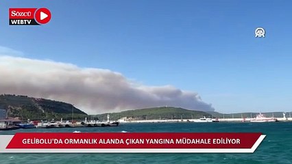 Gelibolu'da ormanlık alanda çıkan yangına müdahale ediliyor