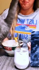 When the fluff turns toxic 😼🔥💨 #fyp #foryou #cat #cats