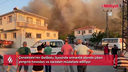 Gelibolu'da ormanlık alanda çıkan yangına müdahale ediliyor