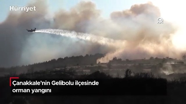 Çanakkale’nin Gelibolu ilçesinde orman yangını