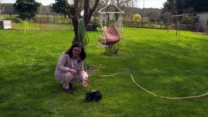 System żłobków NRD. Wstęp do piekła