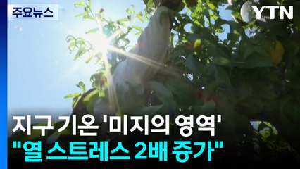지구 기온 '미지의 영역'..."열 스트레스 2배 증가" / YTN