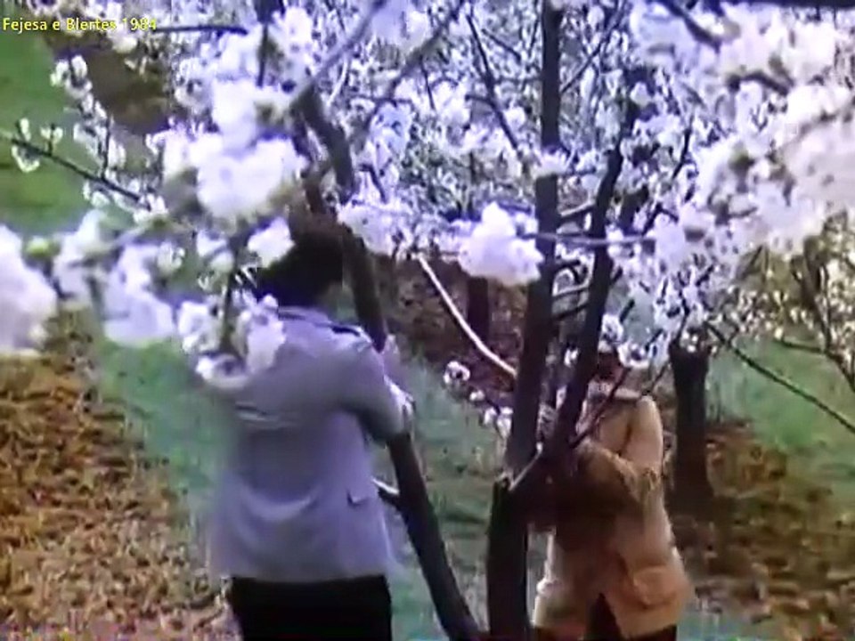 Fejesa e Blertes (1984)