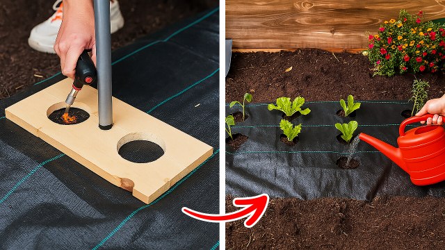 Grow a LUSH Harvest with These Proven Plant Growing Techniques!