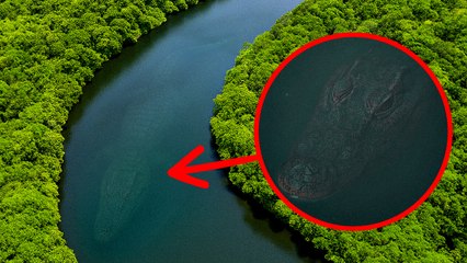 Découvertes Mystérieuses que l'Eau a Tenté de Garder Secrètes