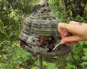 Beyond the Campfire! Hacks to Make Camping More Comfortable!