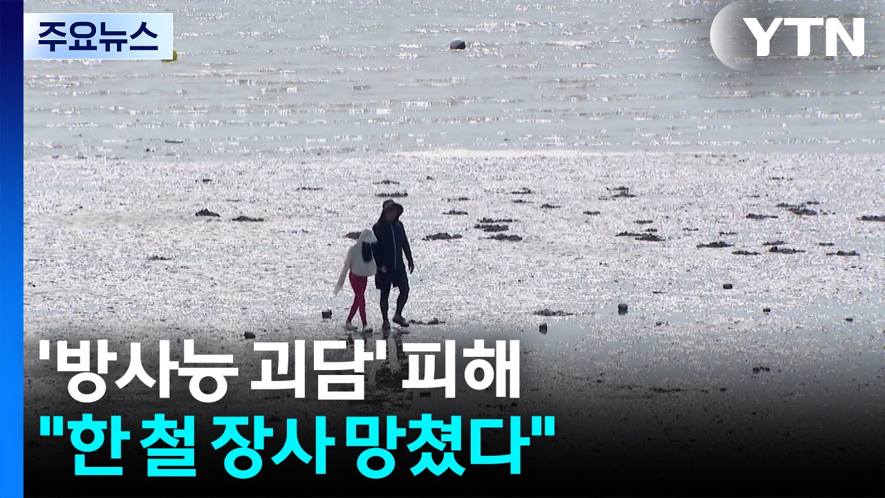 '방사능 괴담'에 대목 사라진 강화도..."한 철 장사 망쳤다" / YTN