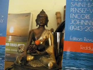 « DU FIN FOND DE SAINT-BARTH, PENSEZ-VOUS ENCORE À MOI  » JOHNNY HALLYDAY (1943-2017) Édition Revue et Corrigée (Français) Broché , Livrel