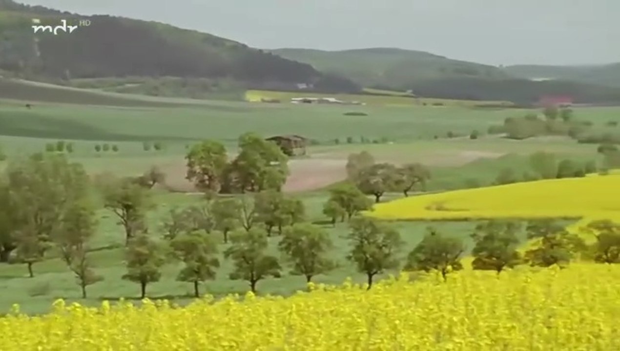 Der zweite Frühling