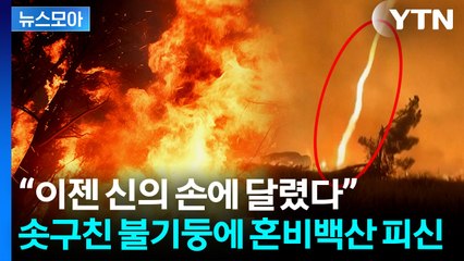 [뉴스모아] 솟구치는 불길에 수천 명 '긴급 대피'…대낮에 태양도 가려졌다 / YTN