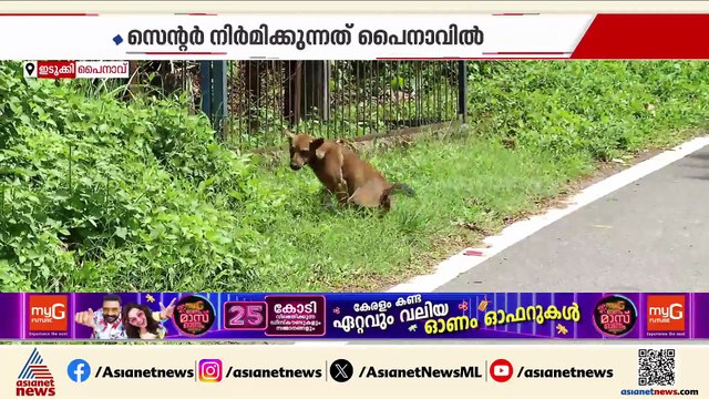 തെരുവുനായ ശല്യം രൂക്ഷം; ഇടുക്കി എബിസി സെന്‍റര്‍ നിര്‍മ്മാണം വേഗത്തിലാക്കി