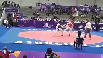 JUEGOS PANAMERICANOS