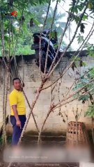 Motor Tetiba Nyangkut di Atas Beton Rumah