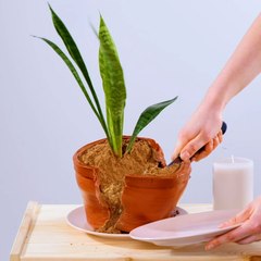 Fancy dessert decorations made of usual candies.