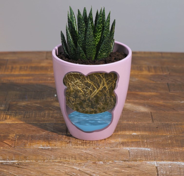 ASTUCES DE JARDINAGE : Conseils pour maximiser votre espace et votre rendement !