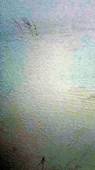 Married to the Secret Lycan King - Full Movie