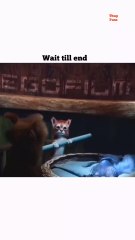 what i have watched - Meme Shorts Gone WILD! 😂🔥 Instant Laughs