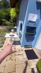 Un voleur à 4 pattes ? ! (3/fin)