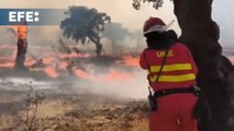 Orden de evacuación de la viviendas de campo por el incendio de Aliseda
