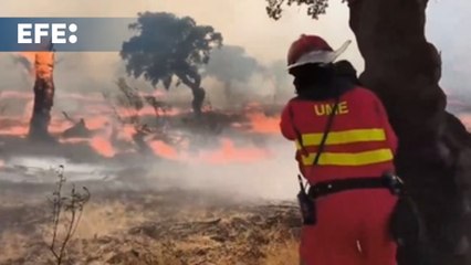 Orden de evacuación de la viviendas de campo por el incendio de Aliseda (Cáceres)