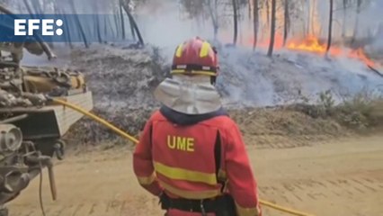 Un bombero muerto eleva a cuatro las víctimas mortales de la oleada de incendios en España