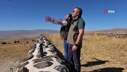 Kızıl Şahin doğal yaşamına bırakıldı