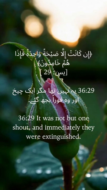 🌿 "A single sound was enough—none can stand against Allah’s will."#SurahYaseen #QuranWisdom #PowerOfFaith #IslamicReminder