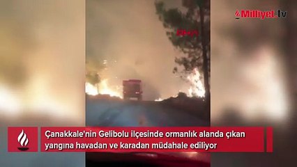 Çanakkale'de alevlerle mücadele sürüyor: 5 köy tahliye edildi