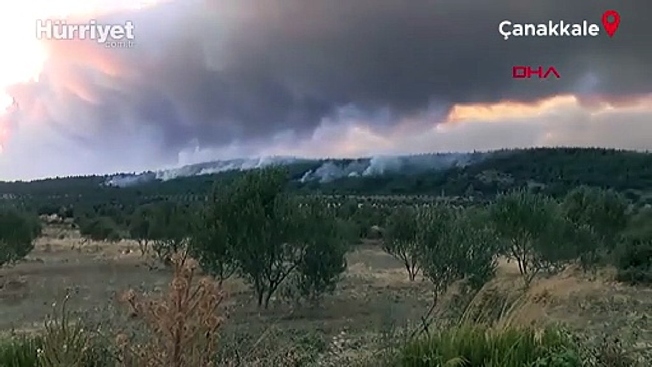 Çanakkale’nin Gelibolu ilçesinde orman yangını sürüyor