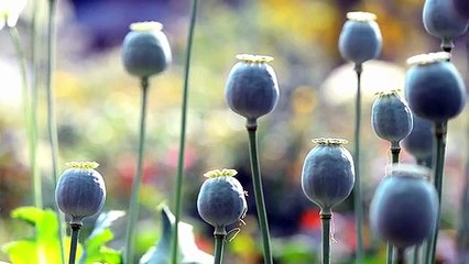 ومحياي 2 مع د.وليد فتيحي _ الحلقة 18 _ #الصبر  _ #ومحياي2 @wama7yaya