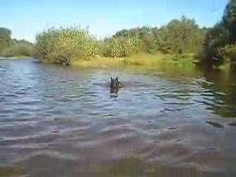 Volga, 18 mois, en vacances