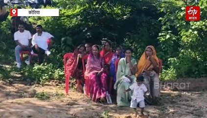 आवारा मवेशियों के लिए कोरिया के गांव की पहल, खुद के खर्च पर बनाया 'हमर गोठान', पेश की मिसाल