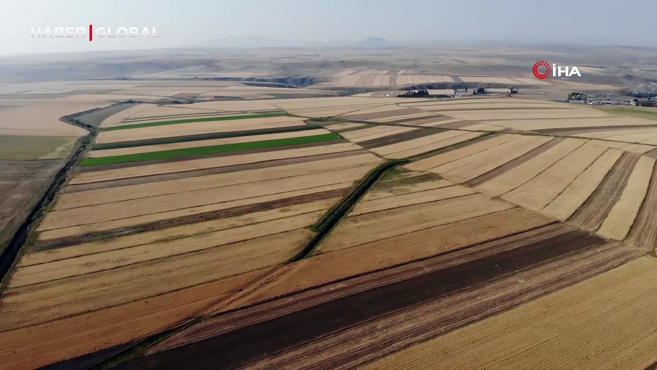 Kars'ta rengarenk tarım arazileri: Halı gibi rengarenk