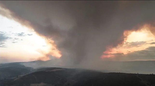 Çanakkale’de orman yangını 2’nci gününde... Gelibolu’da alevlerden kaçan karaca görüntülendi